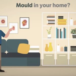 Custom-Branded Mould Testing Video (Canada)